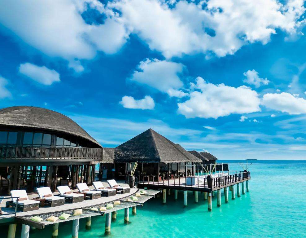 Coco Palm Bodu Hithi